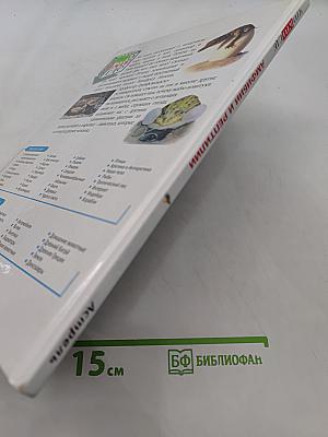 Амфибии и рептилии