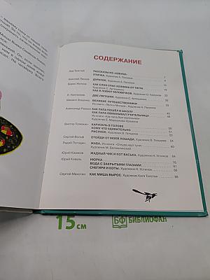 Первоклассные истории