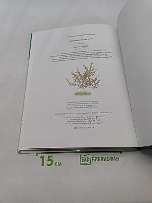 Первоклассные истории