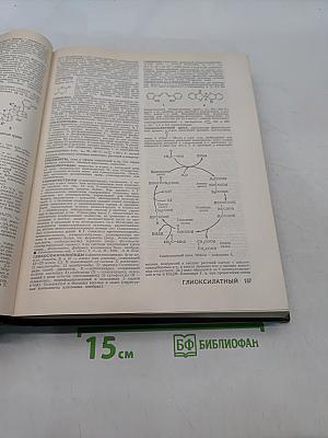Химический энциклопедический словарь