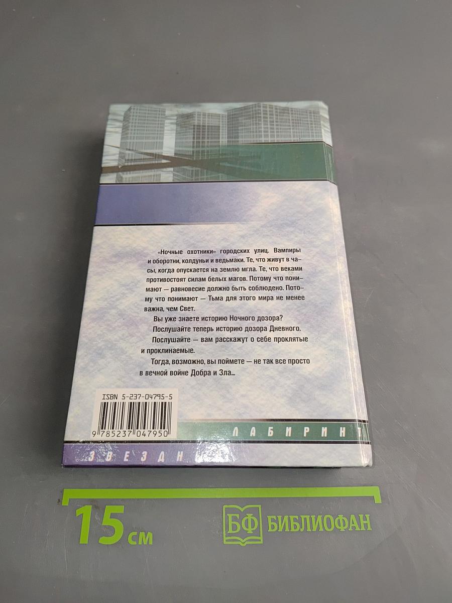 Дневной дозор
