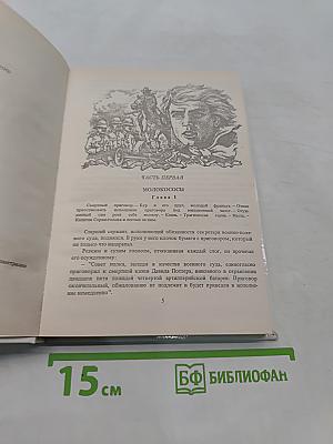 Капитан Сорви-голова