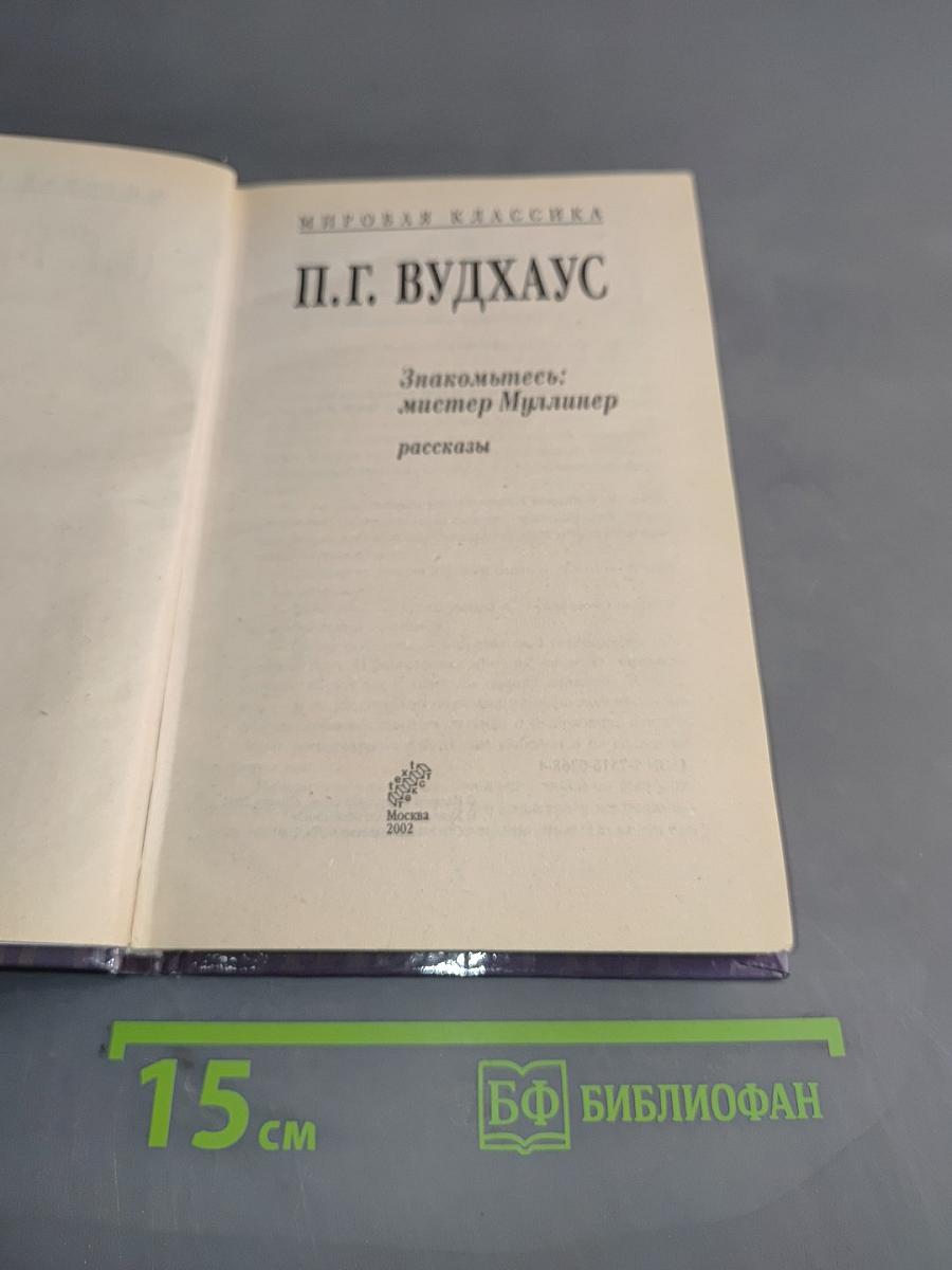 Знакомьтесь: мистер Маллинер. Рассказы