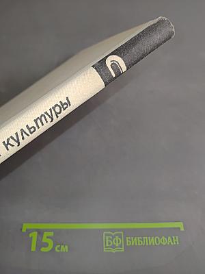 Уроки физической культуры в IV-VI классах