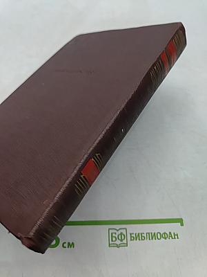 Повести, рассказы, очерки, статьи, литературные заметки. Том третий
