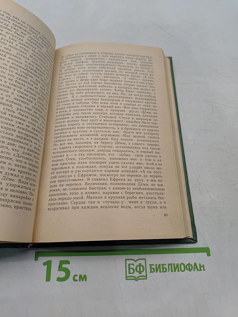 Семейная хроника