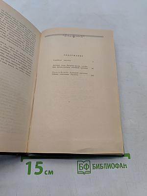 Семейная хроника