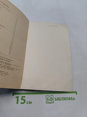 Воспоминания о камне