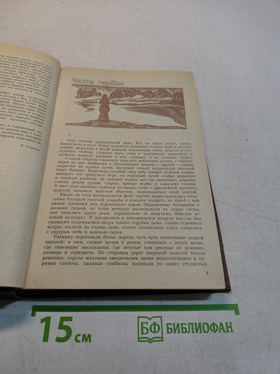 Над Неманом