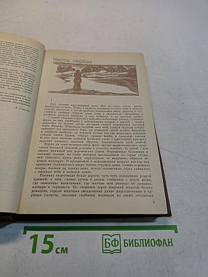 Над Неманом