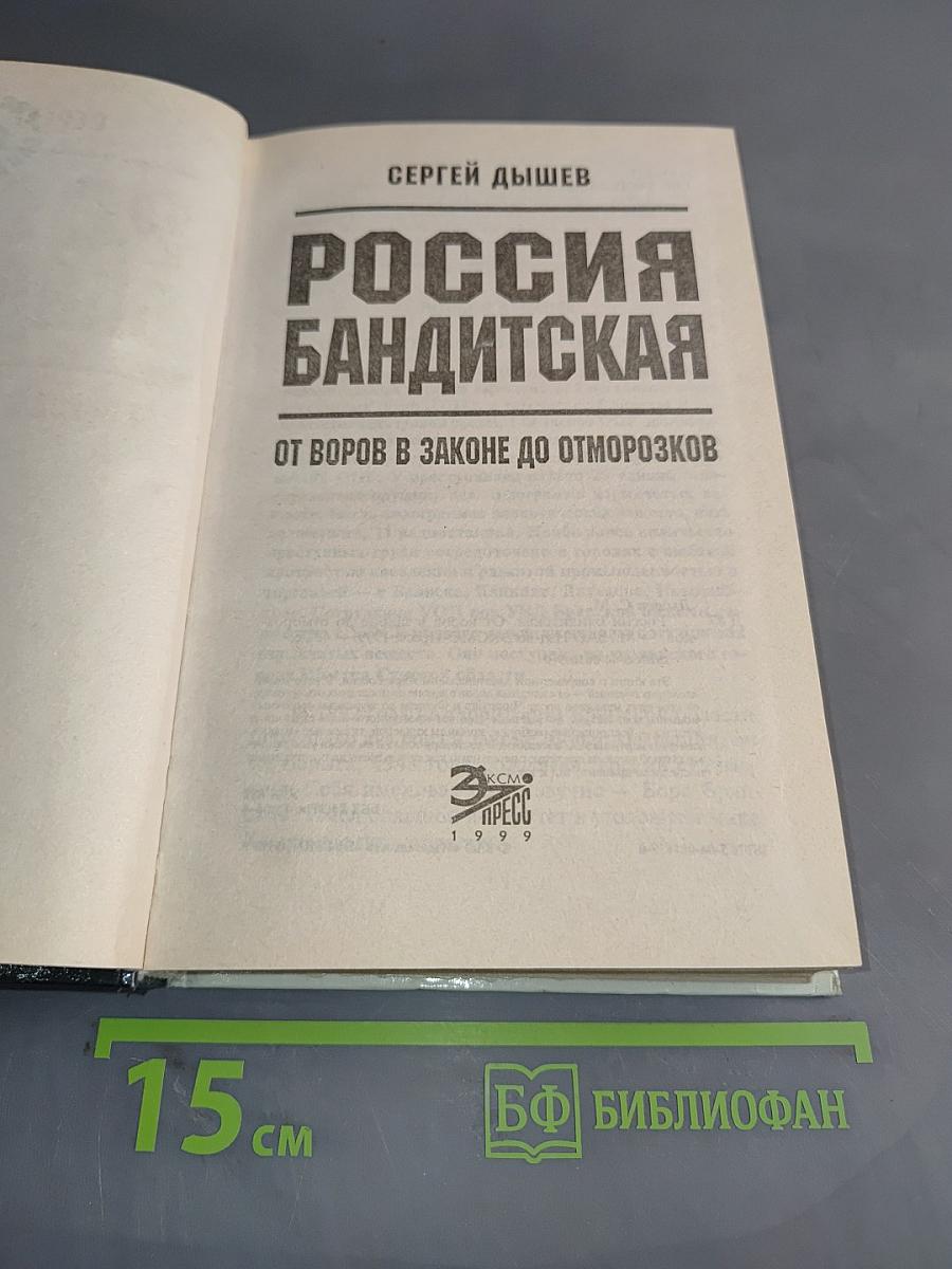Россия бандитская. От воров в законе до отморозков