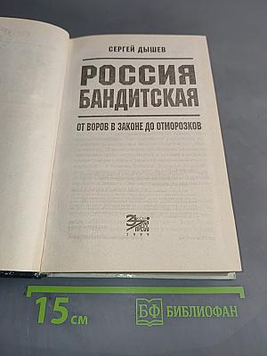 Россия бандитская. От воров в законе до отморозков