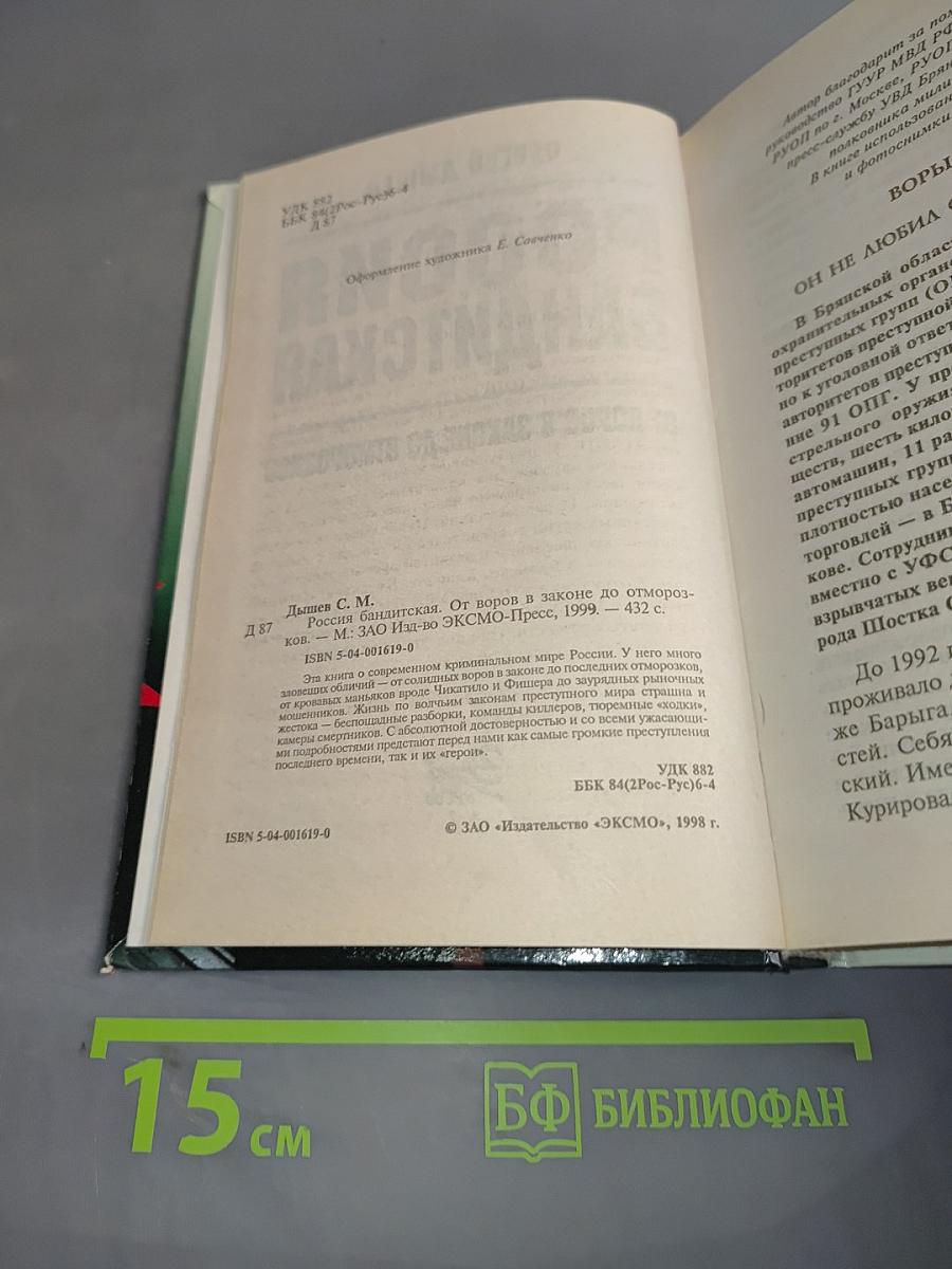 Россия бандитская. От воров в законе до отморозков