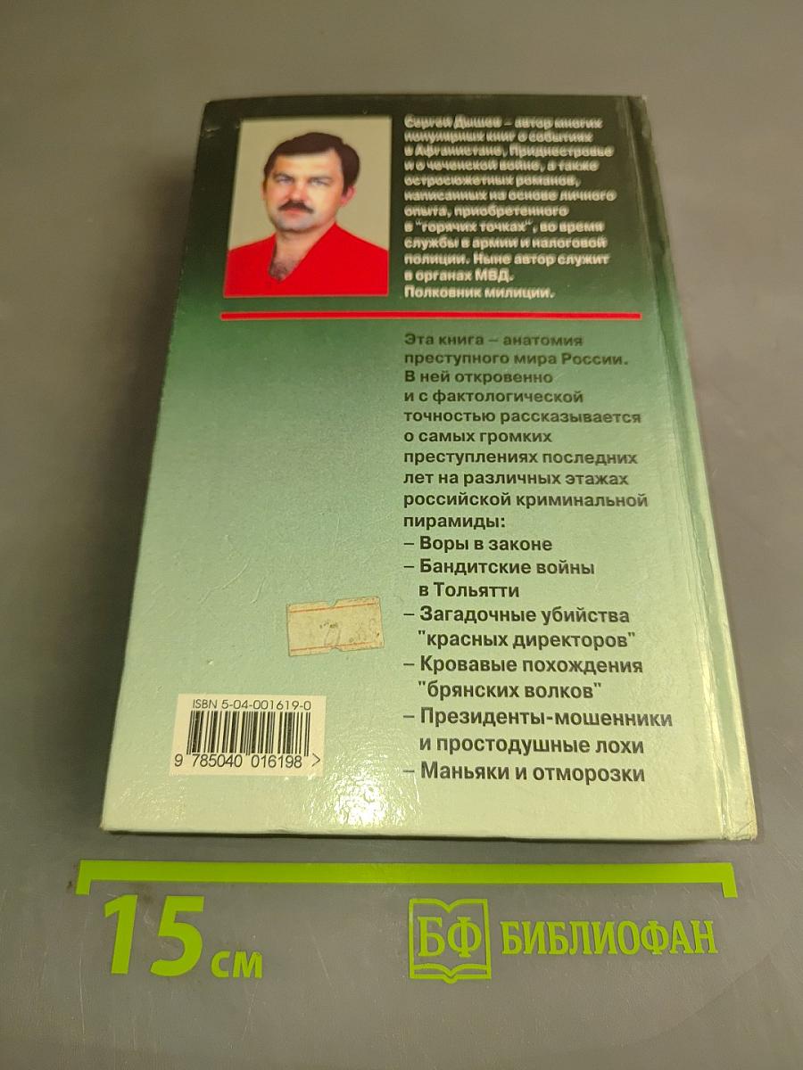 Россия бандитская. От воров в законе до отморозков