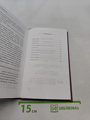 Святослав. Книга первая. Княгиня и рабыня