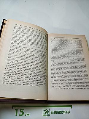 Зверобой, или Первая тропа войны