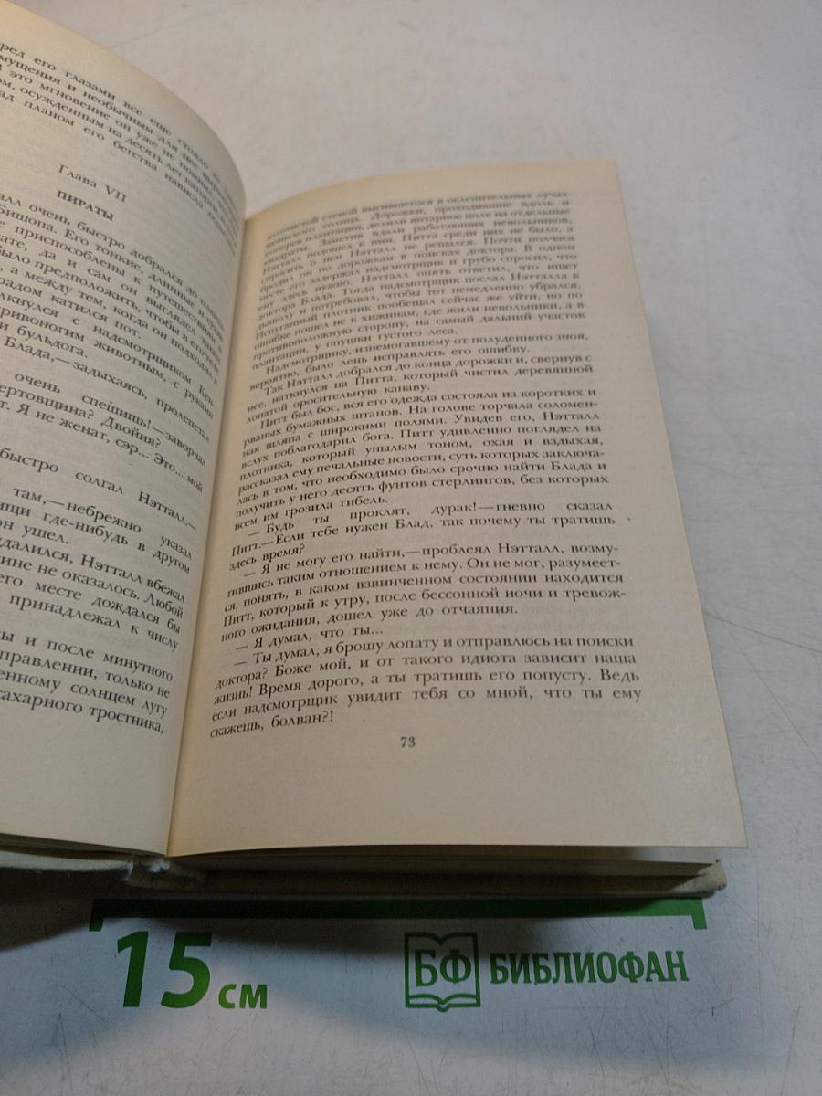 Одиссея капитана Блада. Хроника капитана Блада