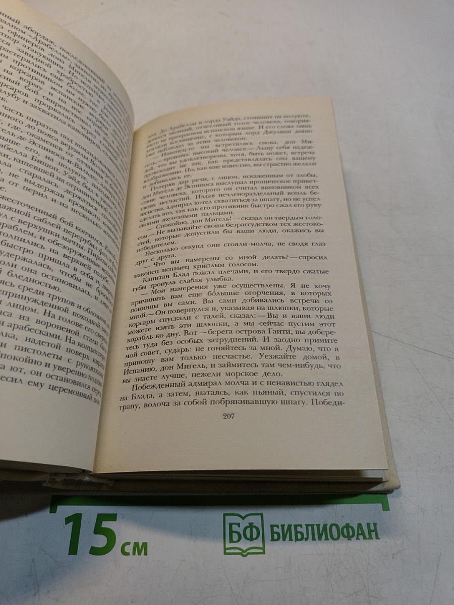 Одиссея капитана Блада. Хроника капитана Блада
