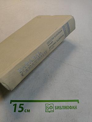 Одиссея капитана Блада. Хроника капитана Блада