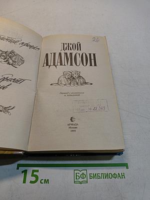 Пятнистый сфинкс
