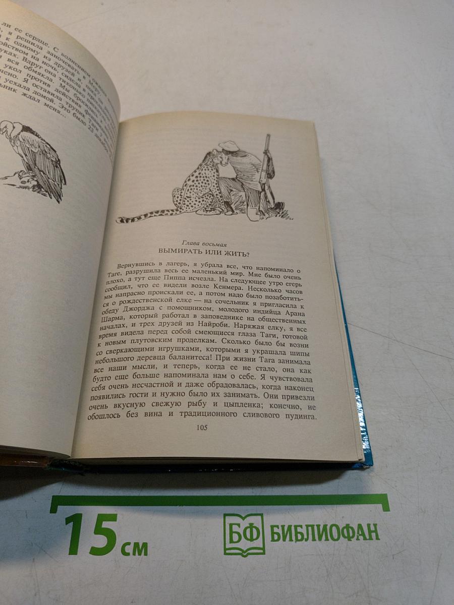Пятнистый сфинкс