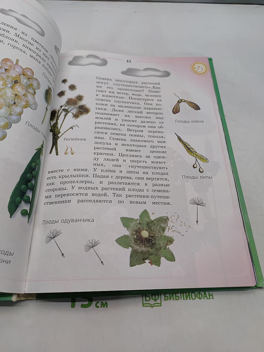 Природоведение и экология. Учебник для 2 класса трехлетней и 3 класса четырехлетней начальной школы