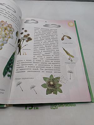 Природоведение и экология. Учебник для 2 класса трехлетней и 3 класса четырехлетней начальной школы