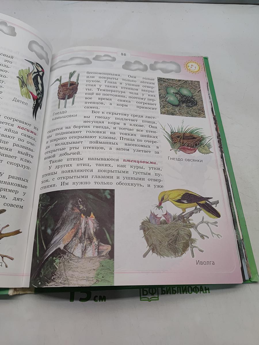 Природоведение и экология. Учебник для 2 класса трехлетней и 3 класса четырехлетней начальной школы
