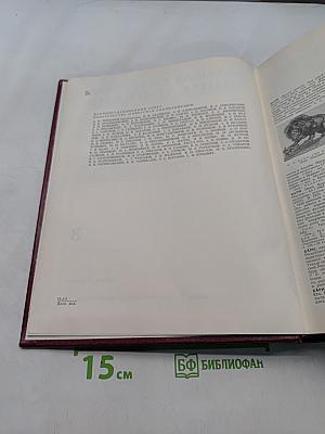 Большая Советская Энциклопедия. Том 3. Бари - Браслет