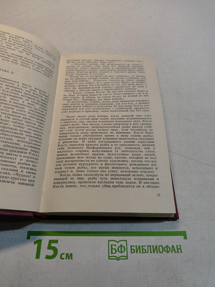 День Лисицы. От руки брата его