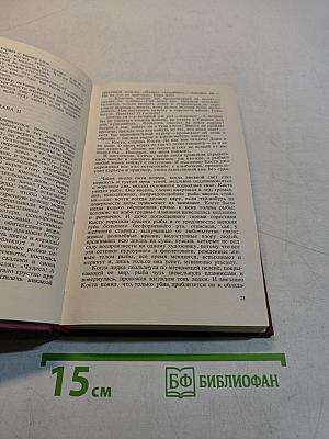 День Лисицы. От руки брата его