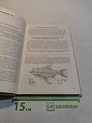 Определитель пресноводных рыб фауны СССР