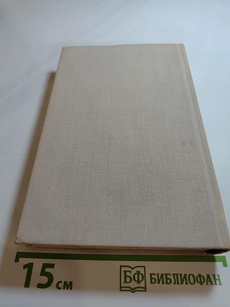 Билет на всю вечность