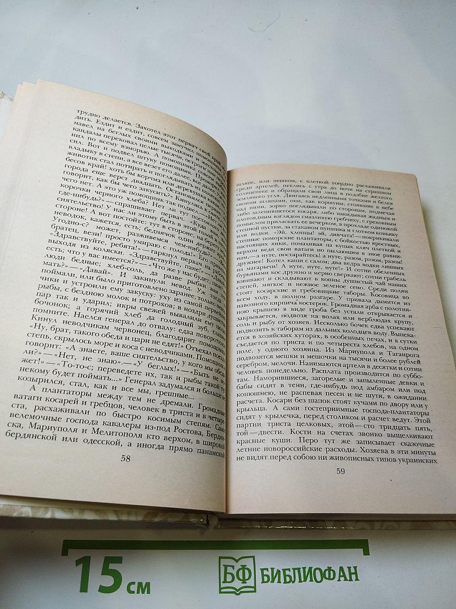 Беглые в Новороссии. Воля. Княжна Тараканова