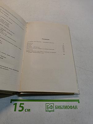 Смеющийся Демокрит