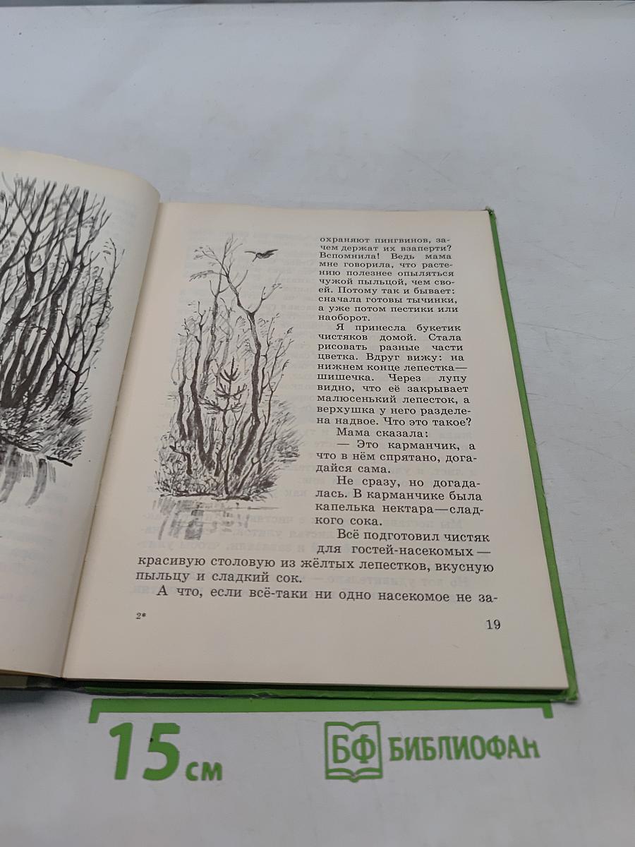 Загадки цветов