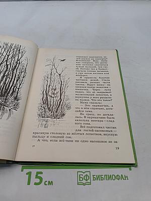 Загадки цветов