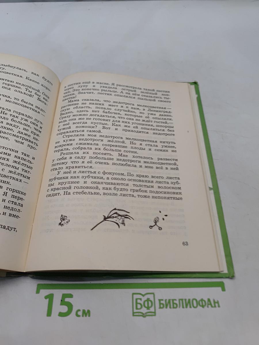 Загадки цветов