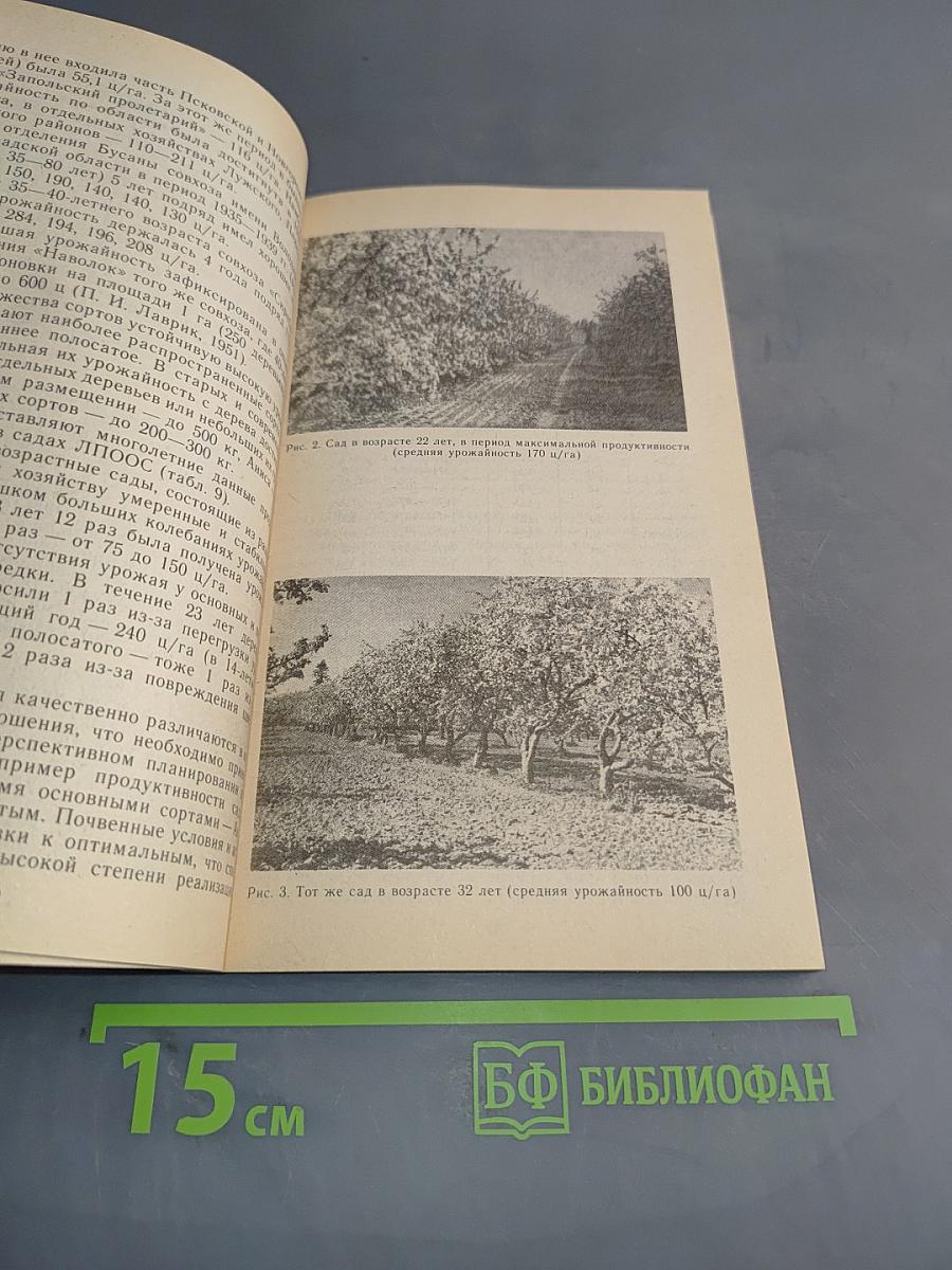 Яблоня на Северо-Западе Нечерноземной зоны