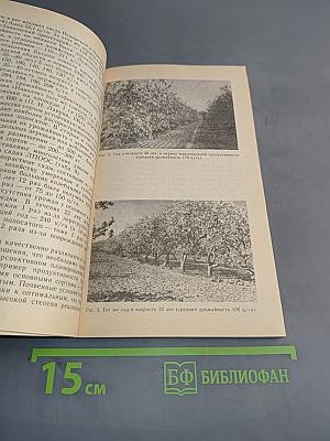 Яблоня на Северо-Западе Нечерноземной зоны