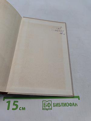 Блокада. Книга четвертая