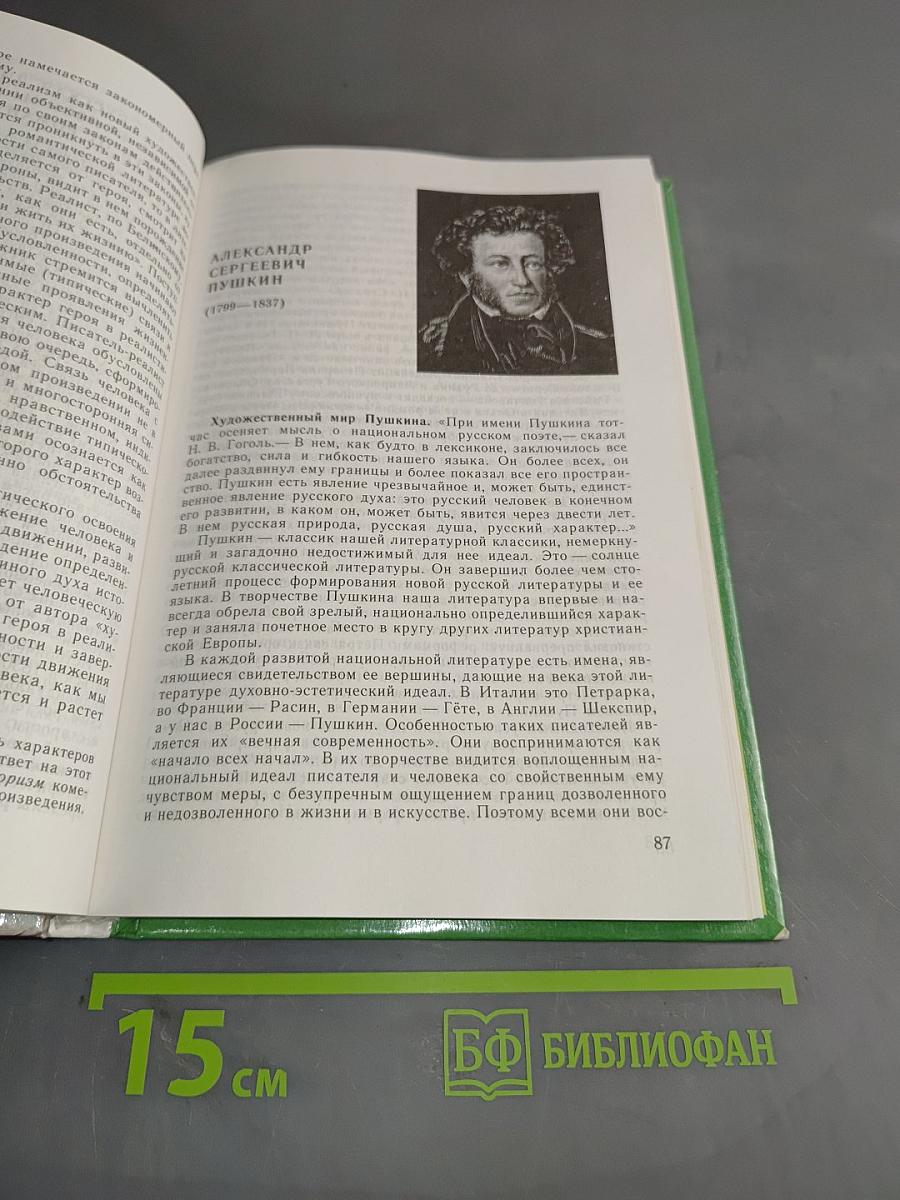Русская литература XIX века. Учебник для общеобразовательных учреждений. В двух частях. Часть 1