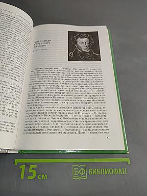 Русская литература XIX века. Учебник для общеобразовательных учреждений. В двух частях. Часть 1