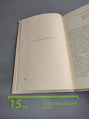 Культура чувств
