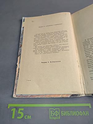 Пульс Земли (Очерки о землетрясениях)