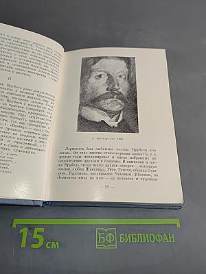 Врубель и Лермонтов