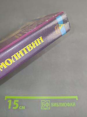 Спутники Волкодава