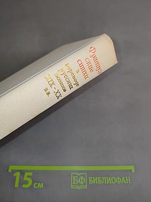 Французские стихи в переводе русских поэтов XIX-XX вв.
