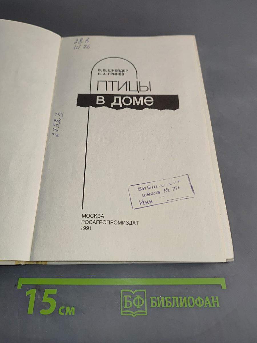 Птицы в доме