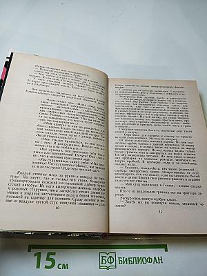 Пролог. Один год беспокойного солнца. Расследование